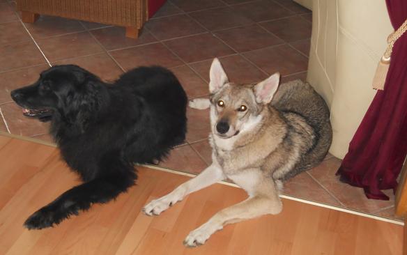 Mortimer & Beyla Mortimer & Beyla