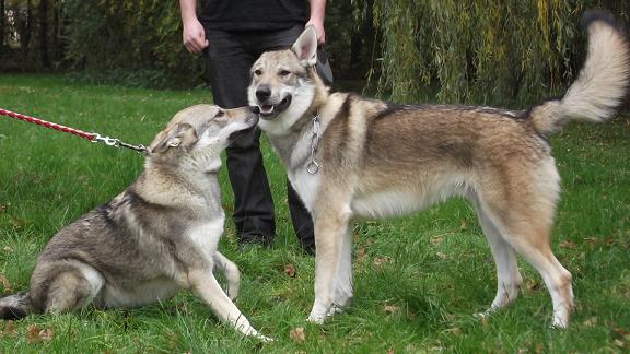Beyla & Bruder Boreas Beyla & Bruder Boreas