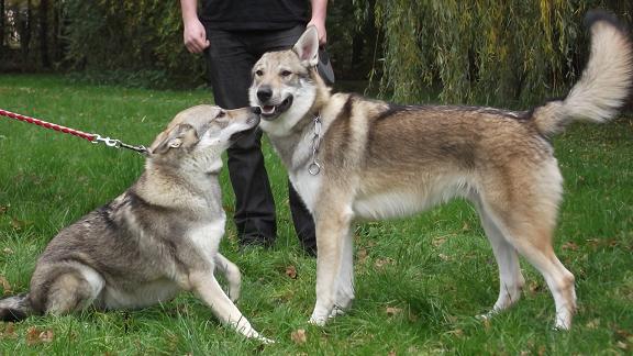 Beyla & Bruder Boreas