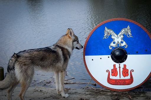 Lycanis Wolfdog®