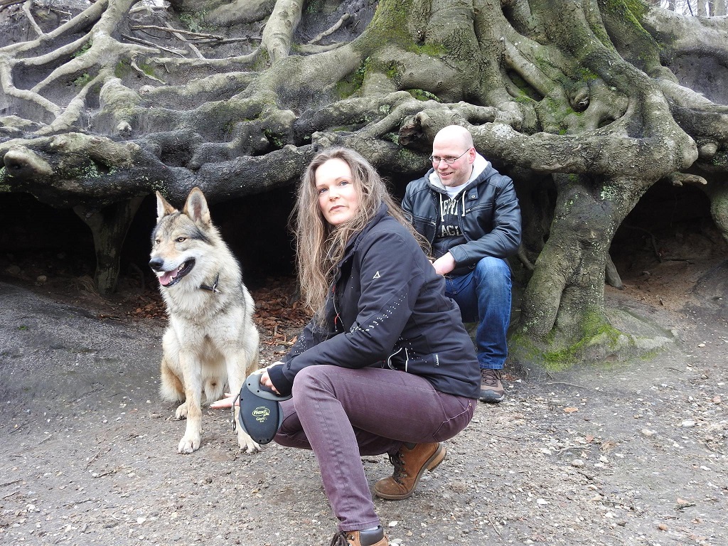 wolfdog Yukon shooting auch mit mir copyright Peter Posch wolfdog Yukon shooting auch mit mir copyright Peter Posch