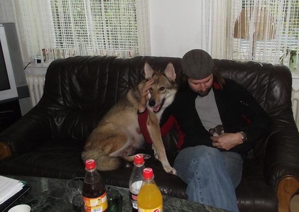 Besuch mit Wölfchen auf der Couch